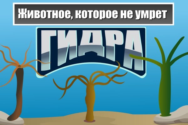 Кракен маркет