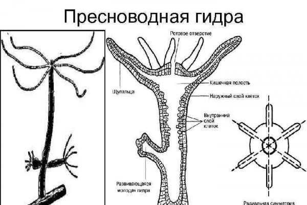 Kraken ссылка тг