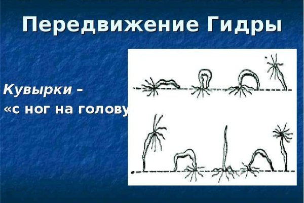 Как восстановить доступ к аккаунту кракен