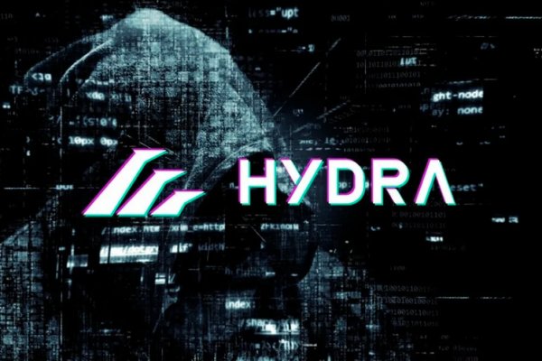Hydra kraken